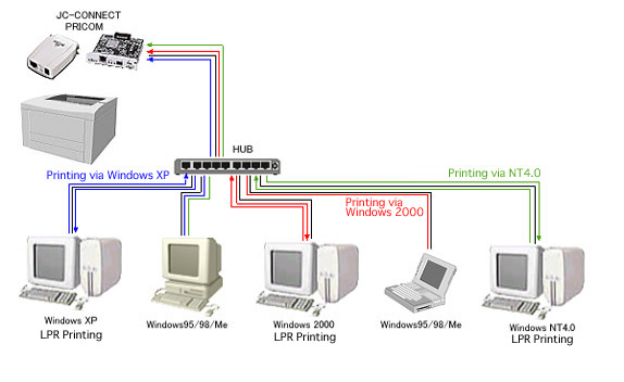 Client Server environment