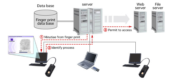 Client/Server environment