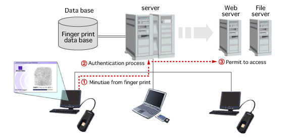 Client/Server environment